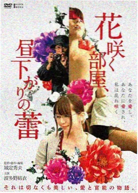 城市考古笔记封面